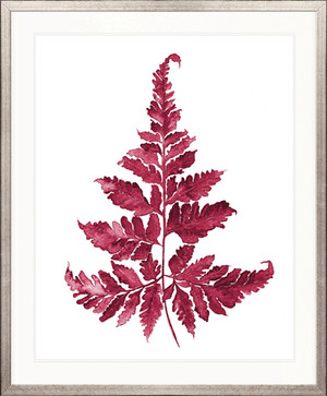 Rubine Red Foliage II