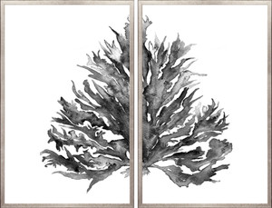 Coral Diptych Charcoal II