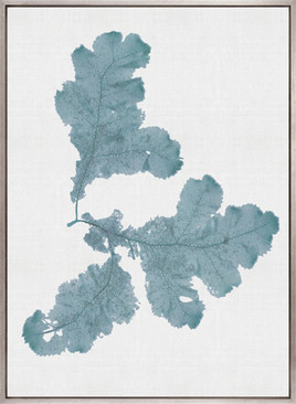 Seaweed Subject II (Blue) (Canvas)