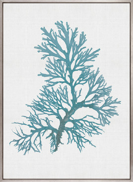 Seaweed Subject V (Blue) (Canvas)