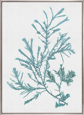 Seaweed Subject VI (Blue) (Canvas)