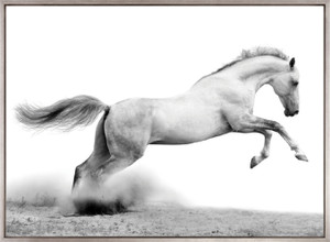 Majestic Thoroughbred XII (Canvas)