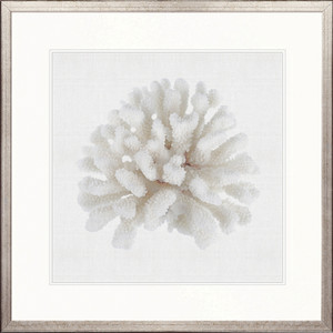 Fanciful Coral I