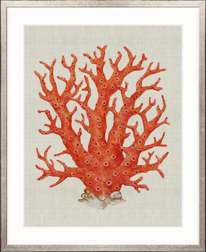 Coral SPLENDOUR (Red) I