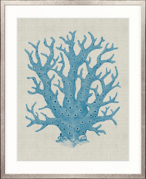 Coral SPLENDOUR (Pale Blue) XIII