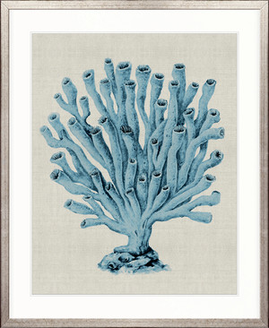 Coral SPLENDOUR (Pale Blue) XVII