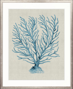 Coral SPLENDOUR (Pale Blue) XVIII