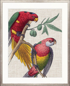 Exotic Parrots I