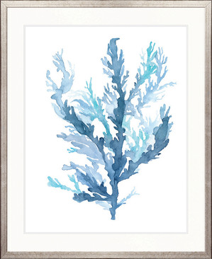 Pastel Seaweed II