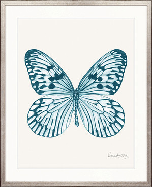 Fanciful Butterfly IV