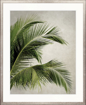Exotic Palm - I