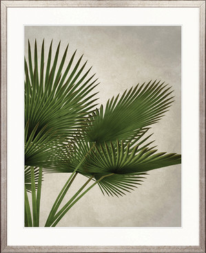 Exotic Palm - III