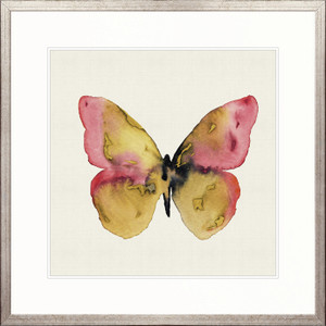 Delicate Butterfly II