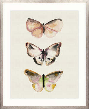 Butterfly Trio V