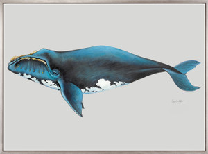Southern Right Whale (Canvas)