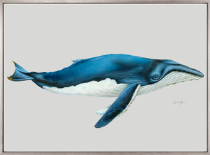 Humpback Whale (Canvas)