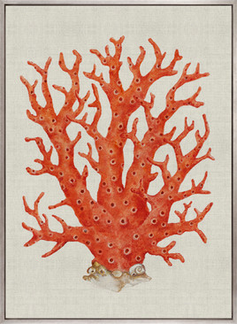 Coral Splendour (Red) I (Canvas)