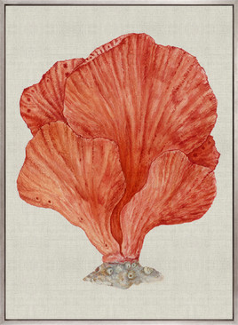 Coral Splendour (Red) II (Canvas)