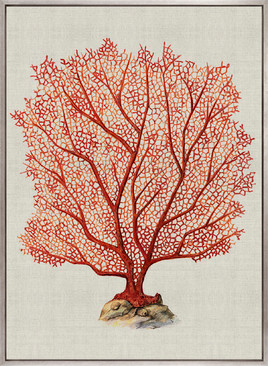Coral Splendour (Red) IV (Canvas)