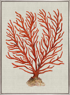 Coral Splendour (Red) VI (Canvas)