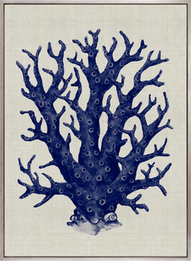 Coral Splendour (Indigo) VII (Canvas)