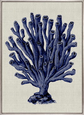 Coral Splendour (Indigo) XI (Canvas)