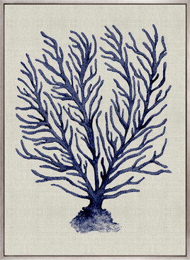 Coral Splendour (Indigo) XII (Canvas)