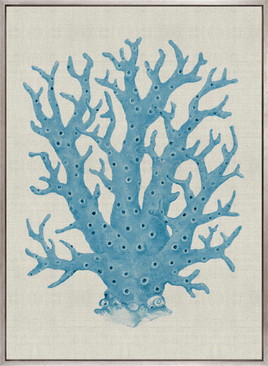 Coral Splendour (Pale Blue) XIII (Canvas)