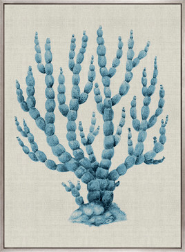 Coral Splendour (Pale Blue) XV (Canvas)