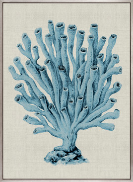 Coral Splendour (Pale Blue) XVII (Canvas)