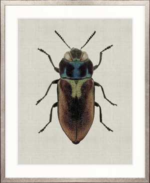 Beetle Subject II