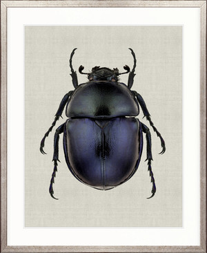Beetle Subject IV