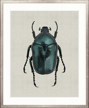 Beetle Subject VI