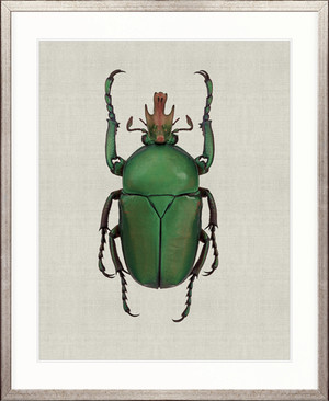 Beetle Subject IX