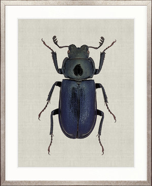 Beetle Subject X