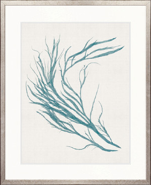 Seaweed Subject III (Blue)