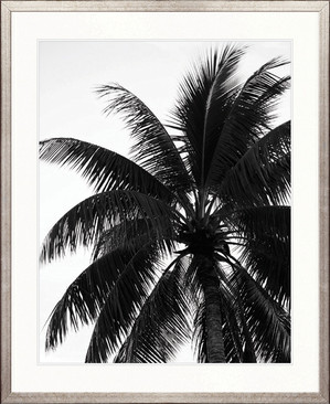 Palm Silhouette V