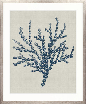 Delicate Seaweed III (Blue)