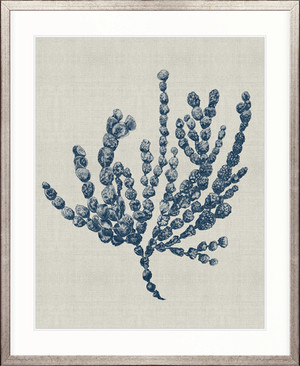 Delicate Seaweed V (Blue)