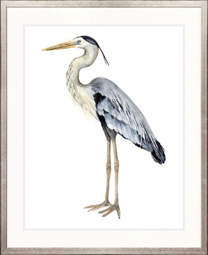 Watercolour Sea Bird III