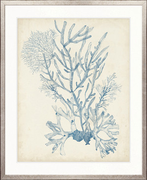 Seaweed Collage II (Pale Blue)