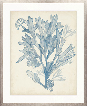 Seaweed Collage III (Pale Blue)
