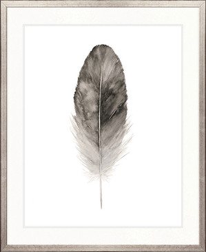 Water Colour Feather IV