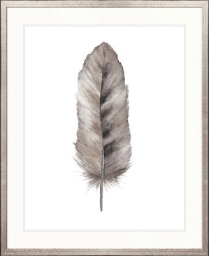 Water Colour Feather V