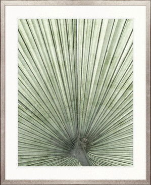 Palm Silhouette IV (Pale Green)