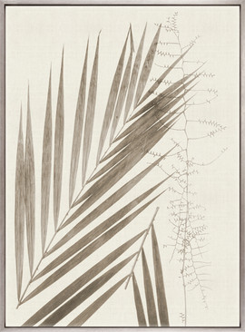 Delicate Frond IX (Taupe) (Canvas)