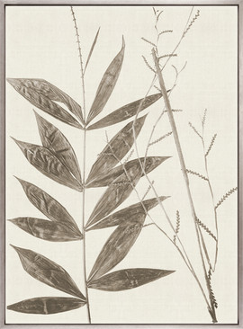 Fanciful Foliage VII (Taupe) (Canvas)