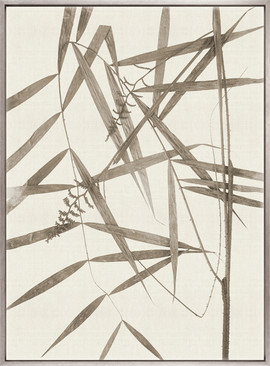 Fanciful Foliage VIII (Taupe) (Canvas)