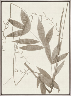 Fanciful Foliage IX (Taupe) (Canvas)