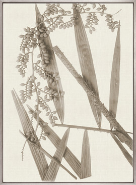 Fanciful Foliage XI (Taupe) (Canvas)